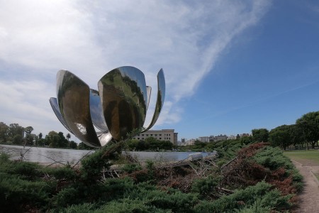 Una estudiante de la Facultad fue seleccionada para realizar el programa virtual "Formación de profesorado de chino como lengua extranjera 2021" de la Universidad de Estudios Internacionales de Shanghai (SISU)