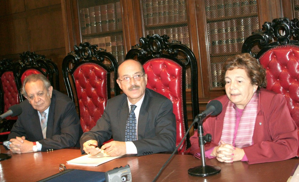 Salvador D. Bergel, Carlos María Romeo Casabona y Stella Maris Martínez