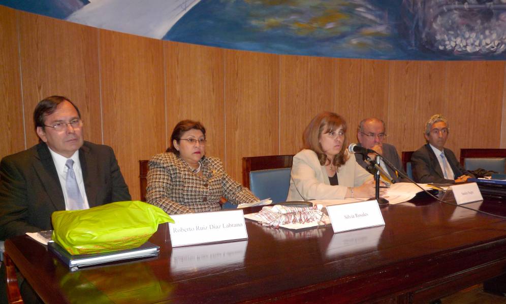 Roberto Ruiz Díaz Labrano, Silvia Rosales, Sandra C. Negro, Ricardo Vigil Toledo y Carlos M. Correa